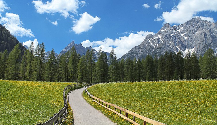 Piste Ciclabili Val Pusteria Alto Adige E Tirolo Orientale