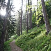 weg nr zur kasseler huette bei rein in taufers