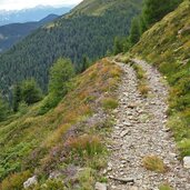 alter stoneman trail abfahrt marchkinkele jetzt gesperrt