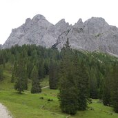 almwiesen am schellabboden